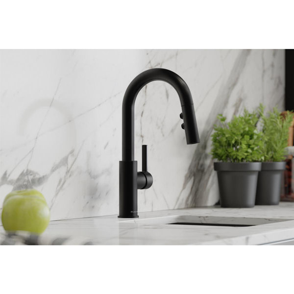 Elkay Avado Pull Down Kitchen Faucet & Reviews Wayfair